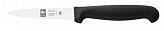 Нож для овощей ICEL Practica 24100.3001000.120